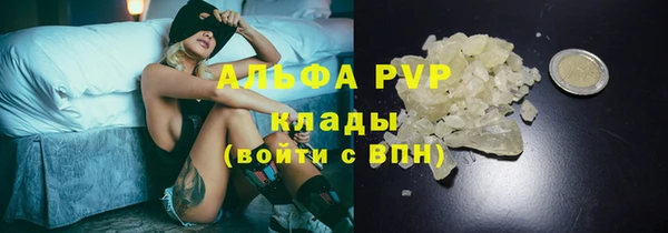 твердый Медногорск