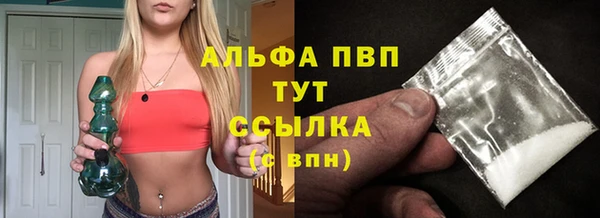 твердый Медногорск