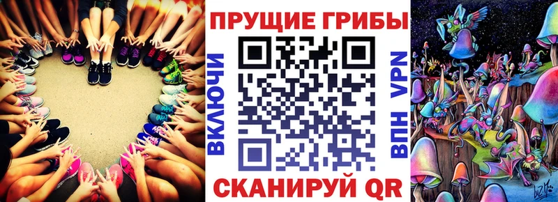 Галлюциногенные грибы Psilocybe  как найти наркотики  Озёрск 
